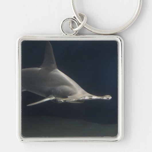 Porte-clés Requin marteau (Devant)