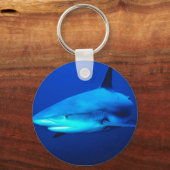 Porte-clés requin taureau (Recto)