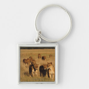 Porte-clés Réservation de faune de Moremi, Botswana