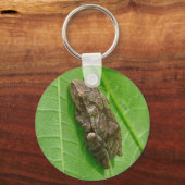 Porte-clés Ressort Peeper (Pseudacris crucifer) Treefrog Item (Recto)