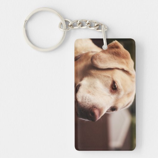 Porte-clés Retriever du Labrador (Devant)