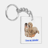 Porte-clés Retriever du Labrador (Devant gauche)
