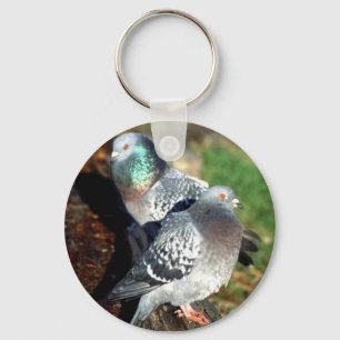 Porte-clés Rêver de jour de pigeons