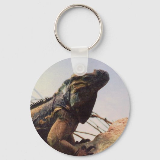 Porte-clés Rhinoceros Iguana (Recto)