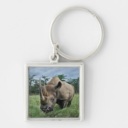 Porte-clés Rhinoceros noir| Kenya (Devant)