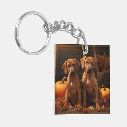 Porte-clés Rhodesian Ridgeback Chiot Automne Citrouille délic (Devant gauche)