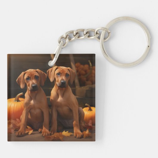 Porte-clés Rhodesian Ridgeback Chiot Automne Citrouille délic (Dos)