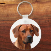 Porte-clés Rhodesian Ridgeback Sleutelhanger (Recto)
