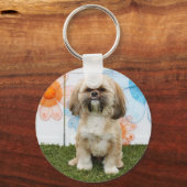 Porte-clés Ripley - Shih Tzu (Recto)