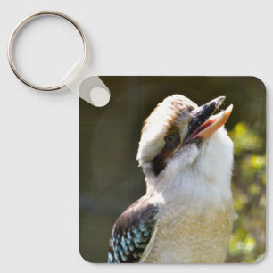 Porte-clés Rire Kookaburra perché sur la succursale Postcard 