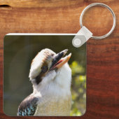 Porte-clés Rire Kookaburra perché sur la succursale Postcard  (Verso)