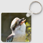 Porte-clés Rire Kookaburra perché sur la succursale Postcard  (Dos)
