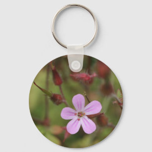 Porte-clés robertskruid