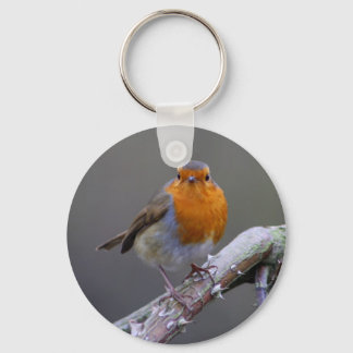 Porte-clés Robin