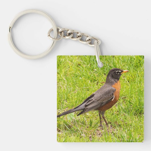 Porte-clés Robin américain (Devant)