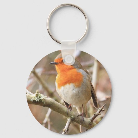 Porte-clés Robin d'hiver Redsein (Recto)