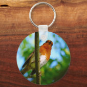 PORTE-CLÉS ROBINS (Recto)