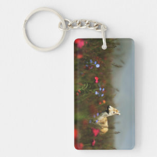 Porte-clés Roe dans un Porte - clé acrylique pré