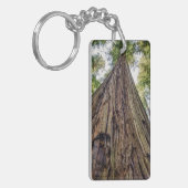 Porte-clés Roosevelt Grove (Devant gauche)