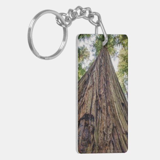 Porte-clés Roosevelt Grove (Devant gauche)