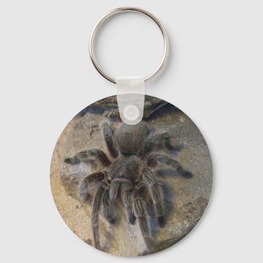 Porte-clés Rose chilien Hair Tarantula (Recto)