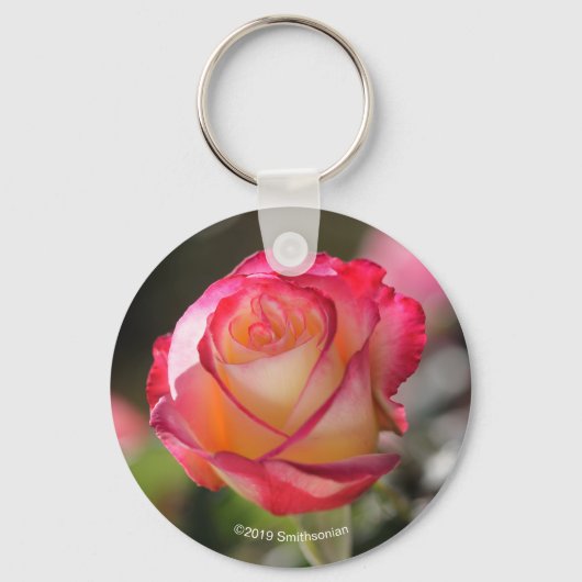 Porte-clés Rose Double Delight (Recto)