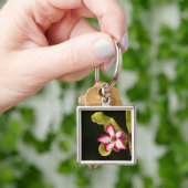Porte-clés Rose du désert (Adenium Obesum), Afrique du Sud (main)
