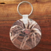 Porte-clés Rose Hair Tarantula (Recto)