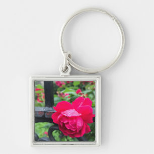 Porte-clés Rose rose gouttes de pluie Dew Garden Gate Photo