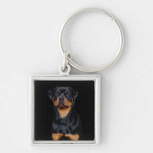 Porte-clés Rottweiler  (Devant)