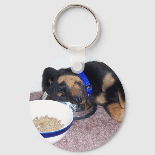 Porte-clés rottweiler à tête blanche. (Recto)