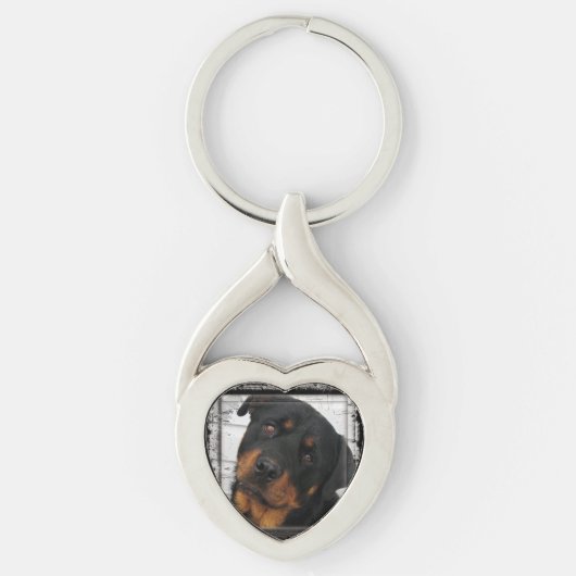 Porte-clés rottweiler-encadré (Devant)