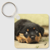 Porte-clés Rottweiler Puppy (Recto)