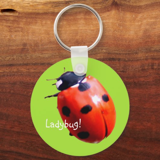Porte-clés Rouge tacheté Ladybug (Recto)