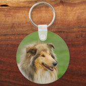 Porte-clés Rough Collie (Recto)