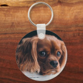Porte-clés Ruby Cavalier King Charles Spaniel (Recto)