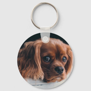 Porte-clés Ruby Cavalier le roi Charles Spaniel