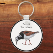 Porte-clés Ruddy Turnstone (Recto)