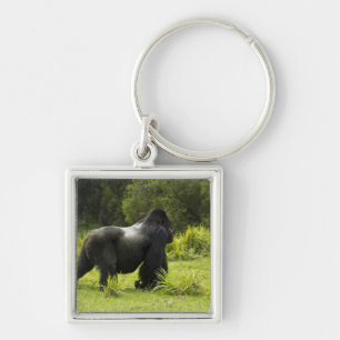 Porte-clés Rwanda, Parc national des Volcans