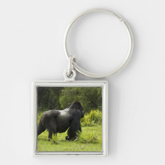 Porte-clés Rwanda, Parc national des Volcans (Devant)