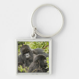 Porte-clés Rwanda, Parc national des Volcans