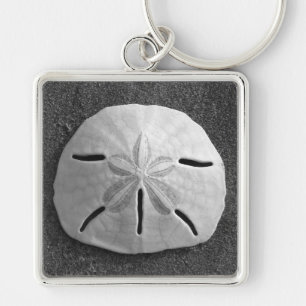 Porte-clés Sable Dollar Mer Shell Ocean Beach Porte - clé