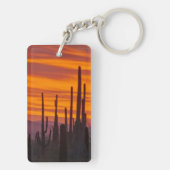 Porte-clés Saguaro, coucher du soleil, Parc national du Sagua (Dos)