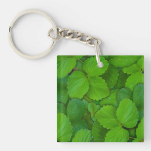 Porte-clés Saint Basil Tulsi Green Mint Feuilles