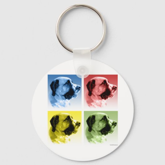 Porte-clés Saint Bernard Pop Art (Recto)