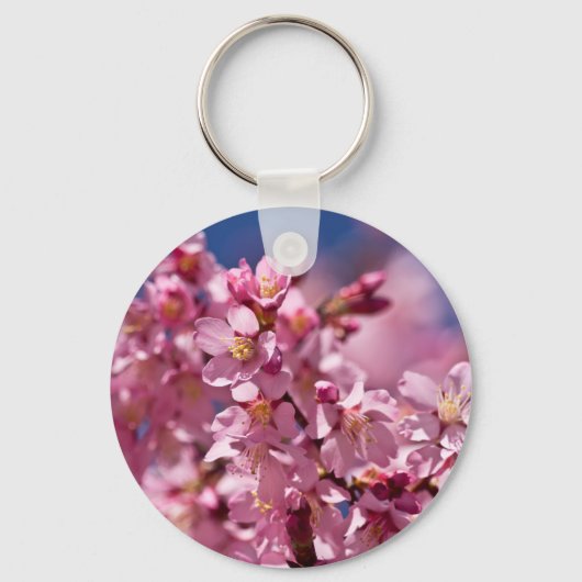 Porte-clés Sakura Cherry Blossoms embrassés par Sunlight (Recto)