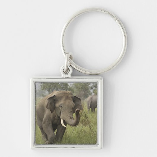 Porte-clés Salutation de l'éléphant asiatique indien (Devant)