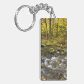 Porte-clés Sanderson Brook. Forêt d'État de Chester-Blanford (Devant gauche)