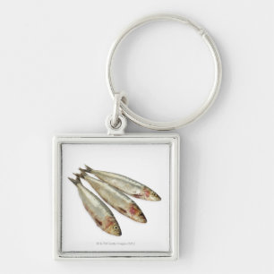 Porte-clés Sardines (pilchards)