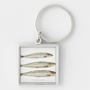 Porte-clés Sardines (pilchards) 2